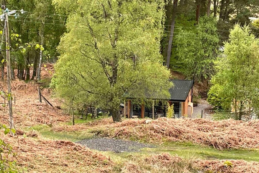 Coorie Doon Cabin! Great Scottish Welcome ฟอร์ตออกัสตัส ภายนอก รูปภาพ